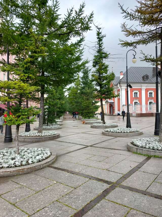 Гостиница Шелфорт Санкт-Петербург-93